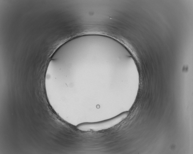 X0000116840385201001151252