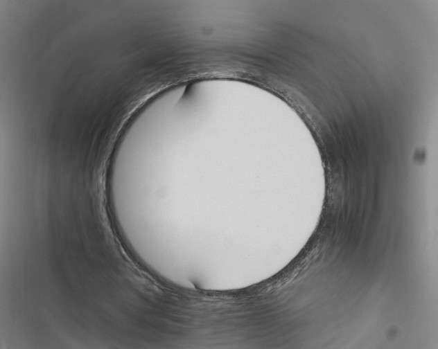 X0000116840386201001151251