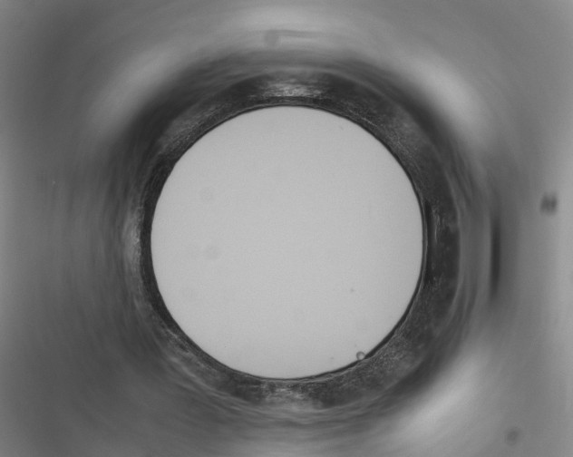 X0000116840387201001151251