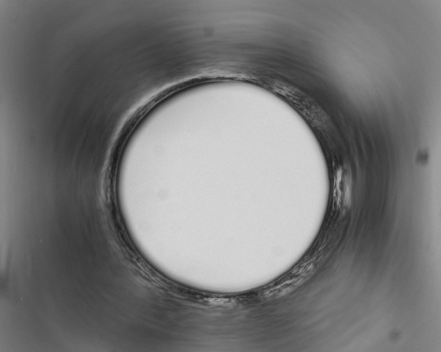 X0000116840388201001151251