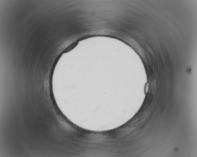 X0000116840389201001151251