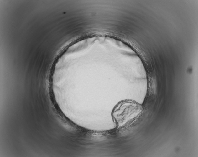 X0000116840390201001151251