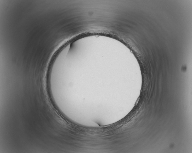 X0000116840391201001151251