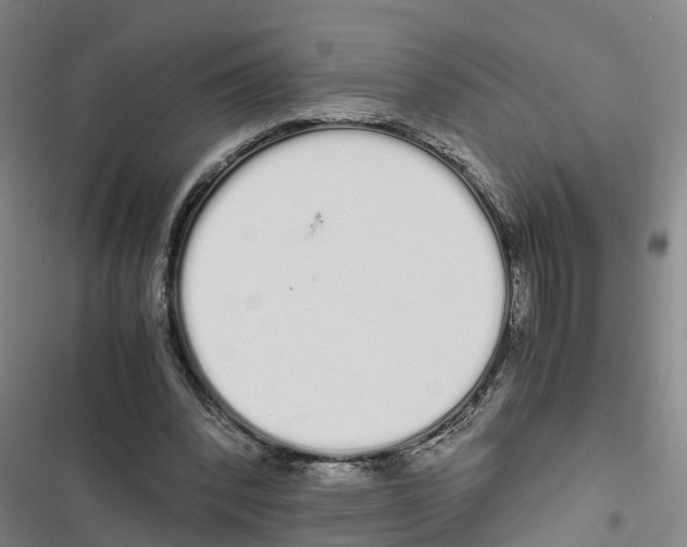 X0000116840392201001151251