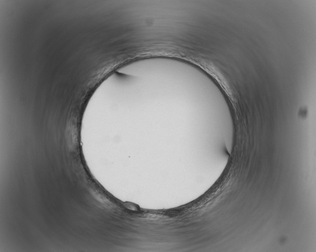 X0000116840393201001151251