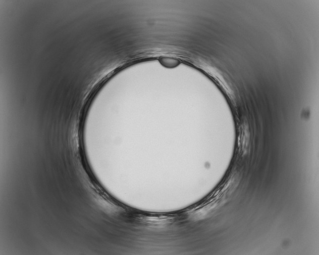 X0000116840394201001151251