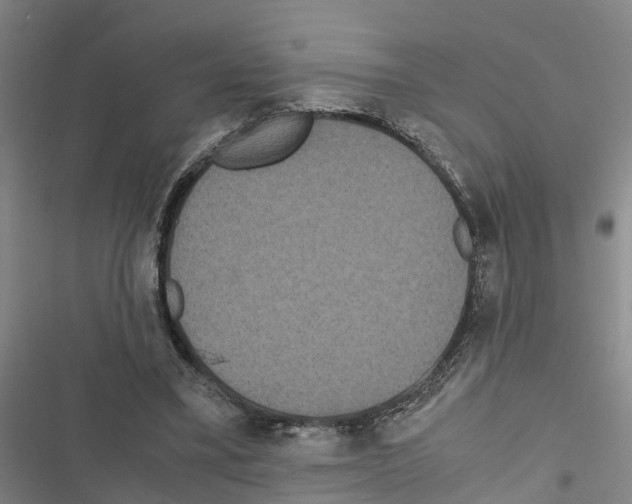 X0000116840395201001151251