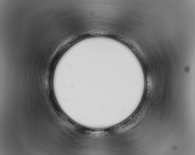 X0000116840396201001151251