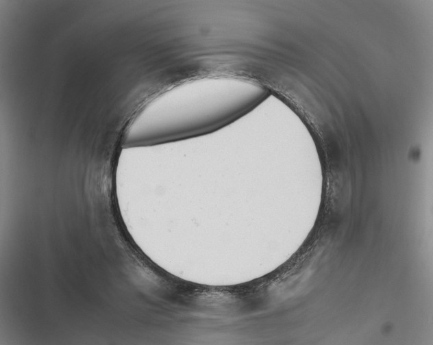 X0000116840397201001151251