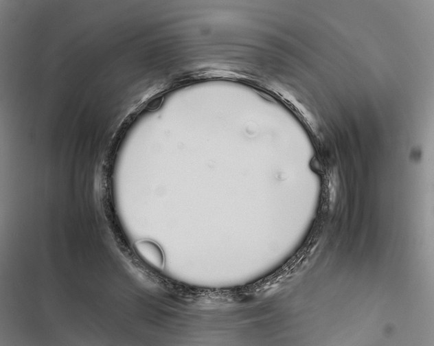 X0000116840398201001151251