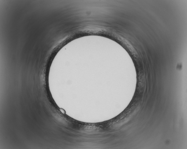 X0000116840399201001151251