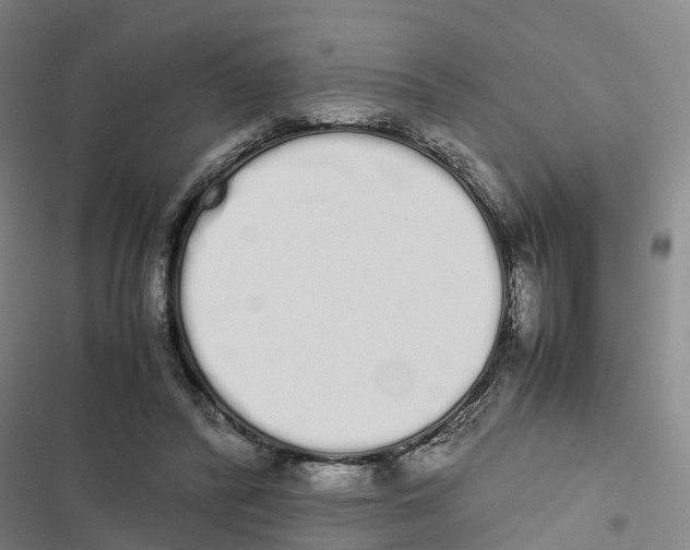 X0000116840400201001151251