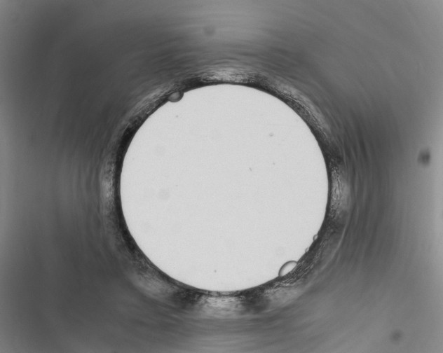X0000116840403201001151251