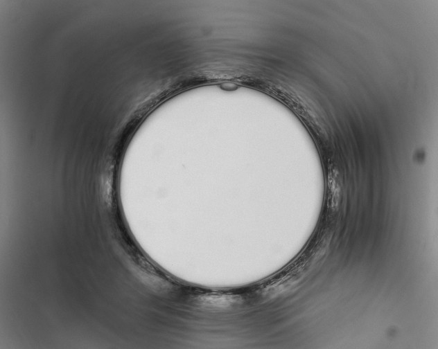 X0000116840404201001151251