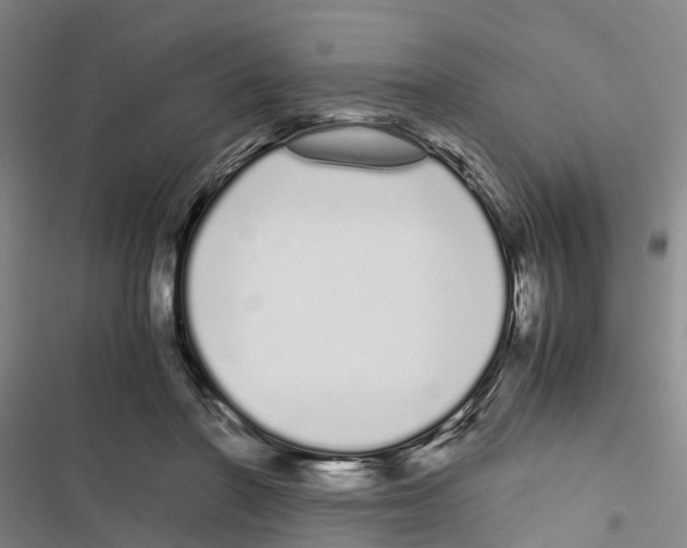 X0000116840406201001151251