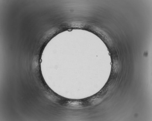 X0000116840407201001151251