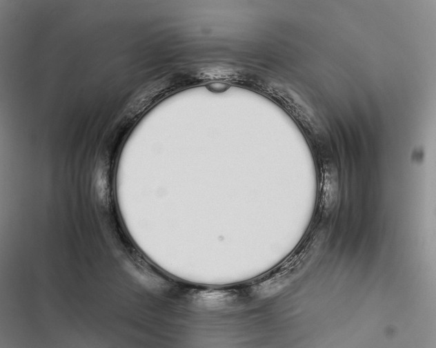 X0000116840408201001151251