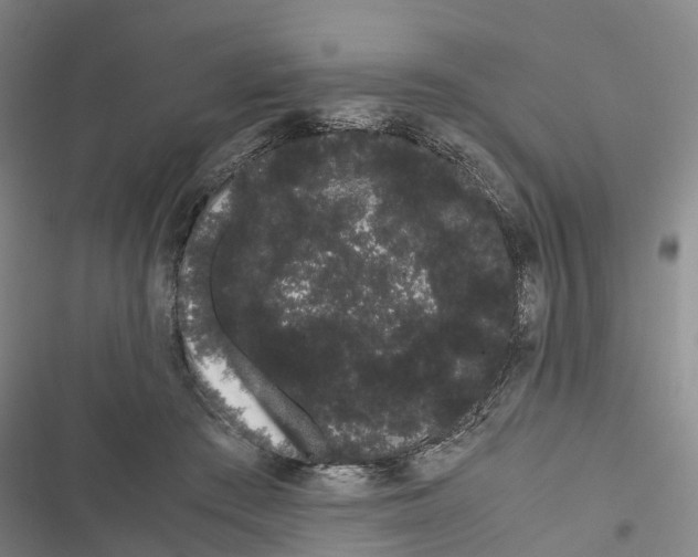 X0000116840409201001151251