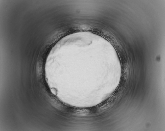 X0000116840410201001151251