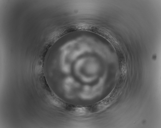 X0000116840411201001151251