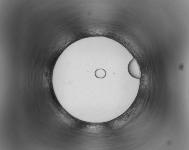 X0000116840414201001151251
