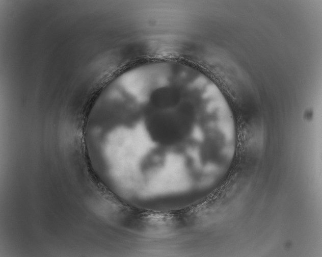 X0000116840415201001151251