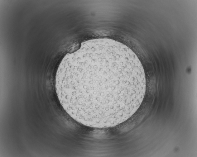 X0000116840418201001151251