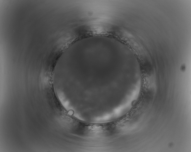 X0000116840419201001151251