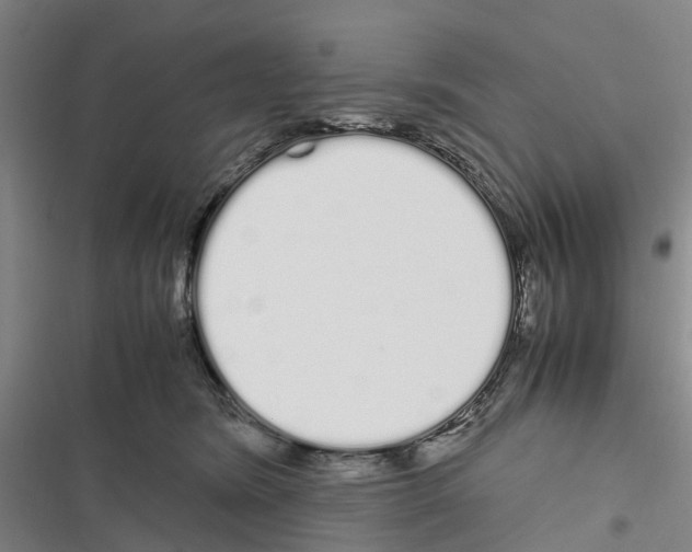 X0000116840420201001151251
