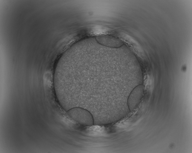 X0000116840421201001151251