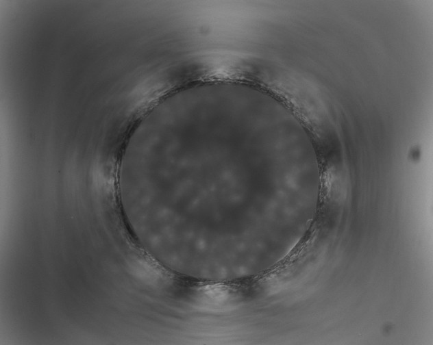X0000116840423201001151251