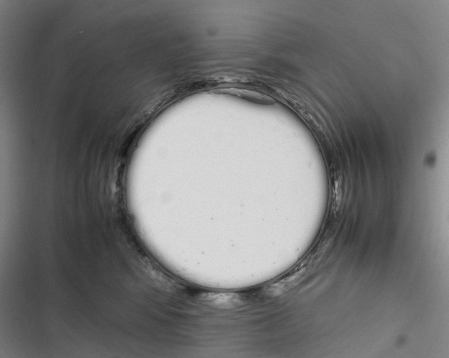 X0000116840424201001151251