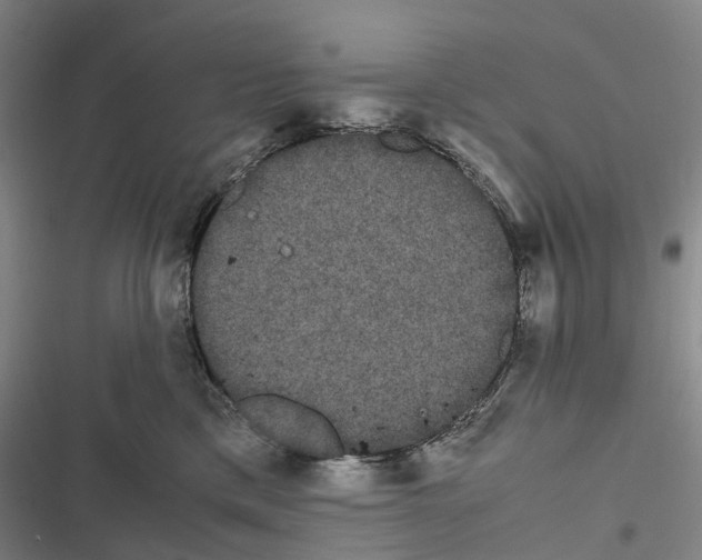 X0000116840425201001151251
