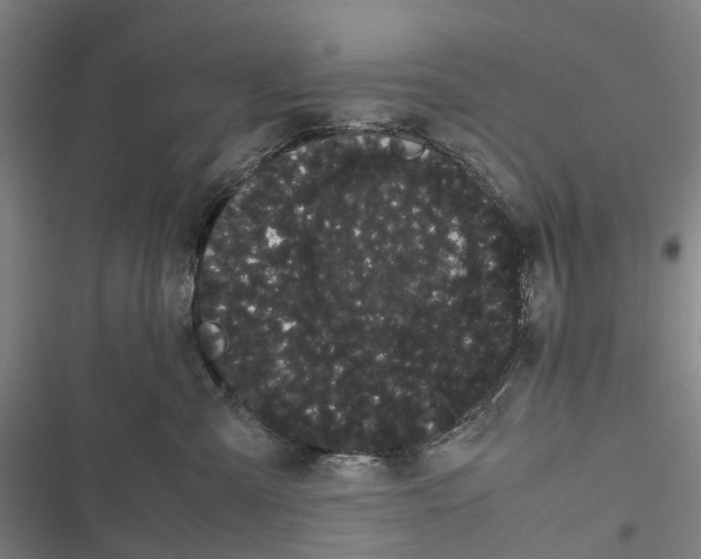 X0000116840427201001151251