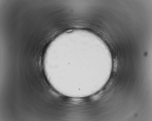 X0000116840428201001151251