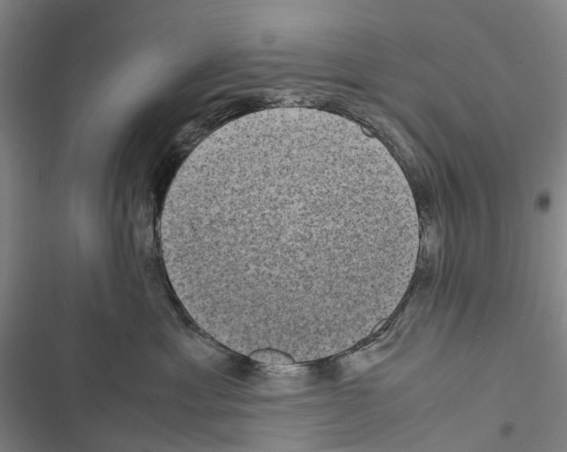 X0000116840429201001151251