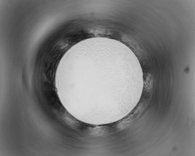 X0000116840430201001151251
