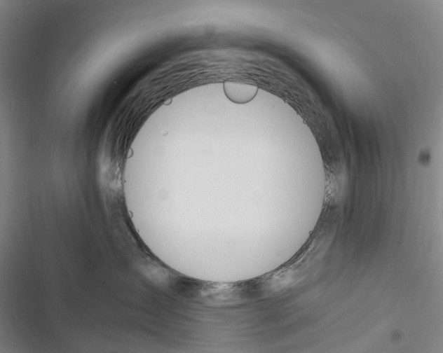X0000116840431201001151251