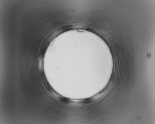 X0000116840432201001151251