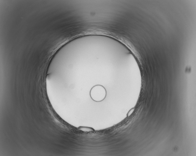 X0000116840433201001151250