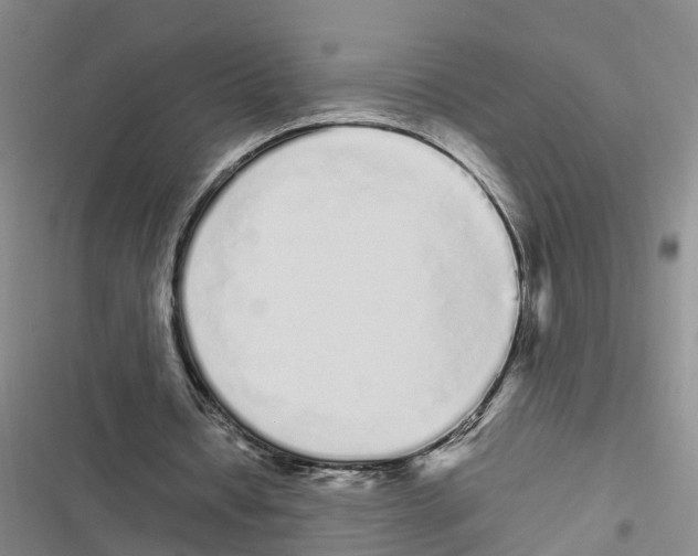 X0000116840434201001151250