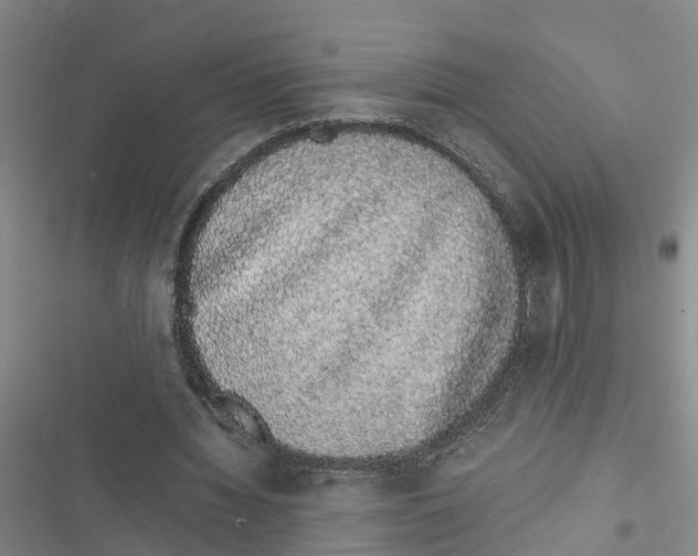 X0000116840436201001151250