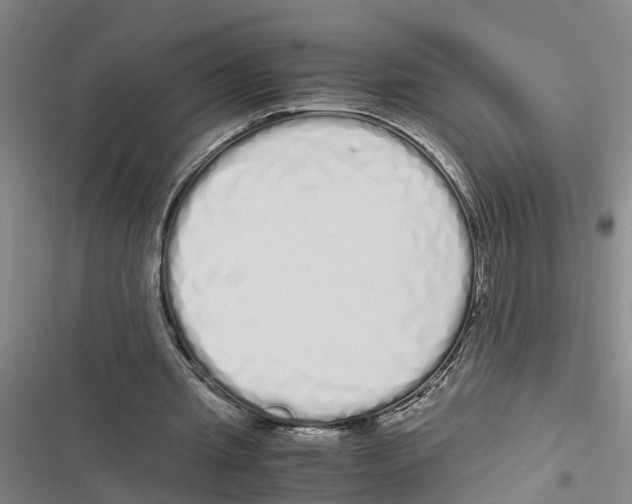 X0000116840437201001151250