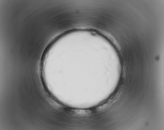 X0000116840439201001151250