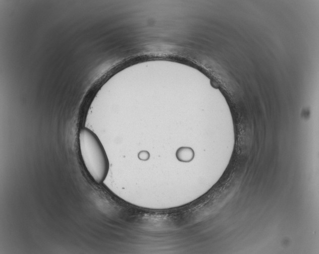X0000116840440201001151250