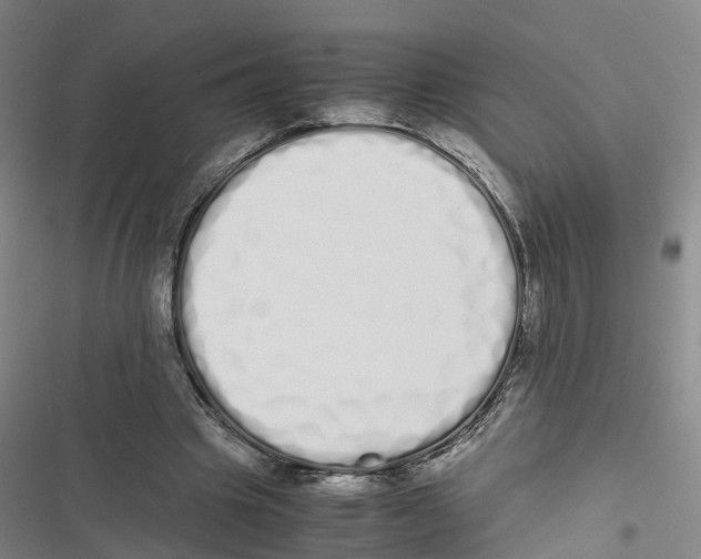 X0000116840441201001151250