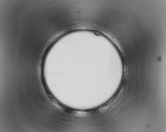 X0000116840442201001151250