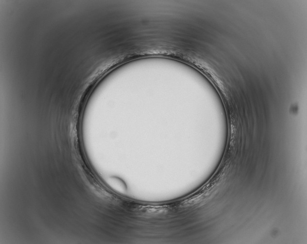 X0000116840443201001151250