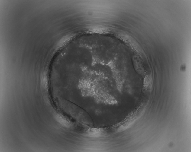 X0000116840444201001151250