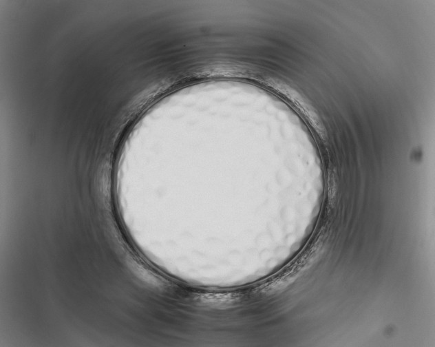 X0000116840445201001151250